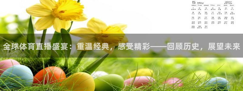 全球体育直播盛宴：重温经典，感受精彩——回顾历史，展望未来