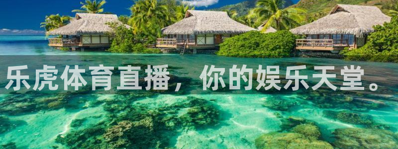 乐虎体育直播，你的娱乐天堂。