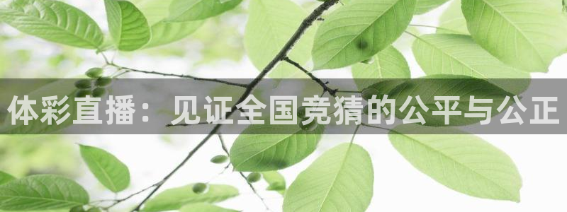 体彩直播：见证全国竞猜的公平与公正