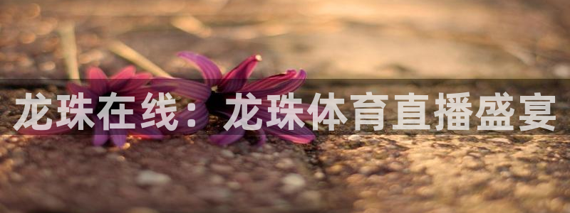 龙珠在线：龙珠体育直播盛宴