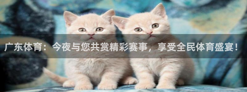 广东体育：今夜与您共赏精彩赛事，享受全民体育盛宴！