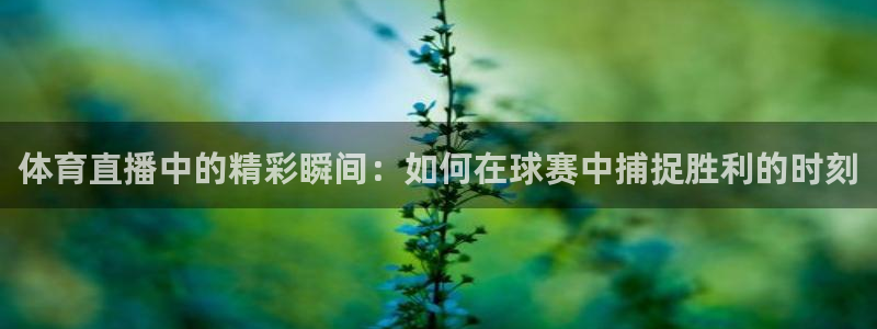 体育直播中的精彩瞬间：如何在球赛中捕捉胜利的时刻