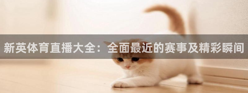 新英体育直播大全：全面最近的赛事及精彩瞬间
