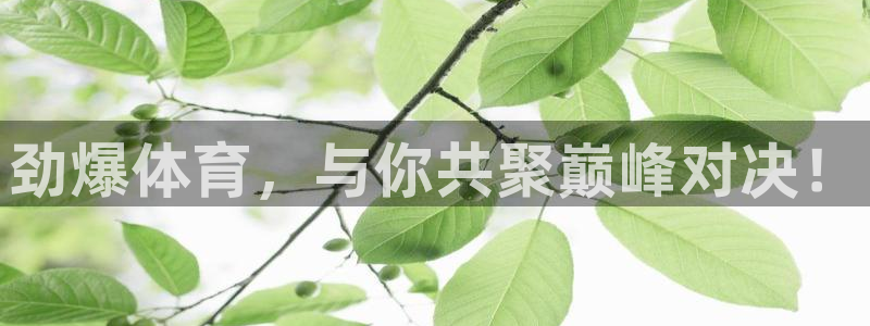 劲爆体育，与你共聚巅峰对决！