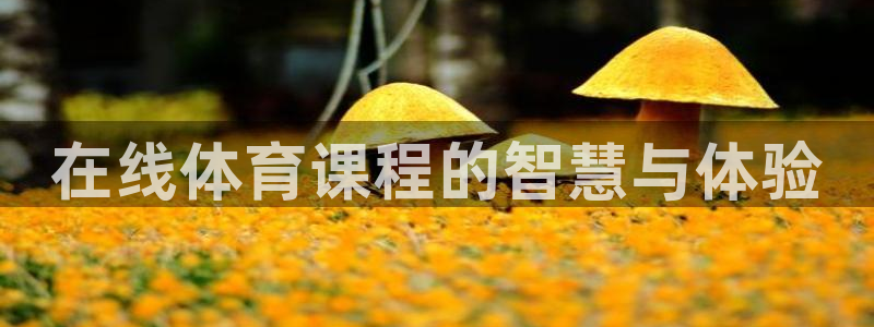 在线体育课程的智慧与体验