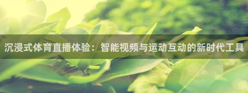 沉浸式体育直播体验：智能视频与运动互动的新时代工具