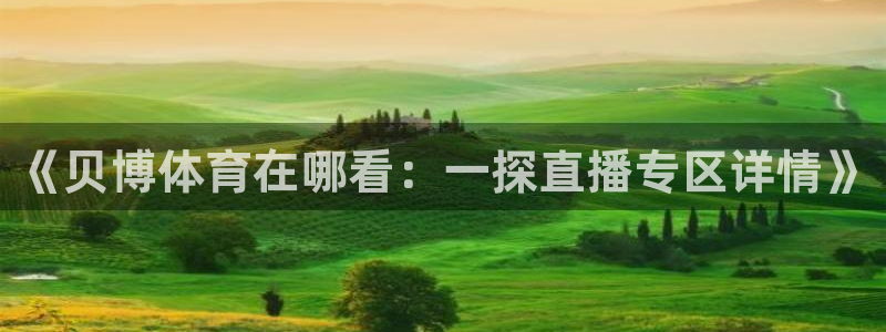 《贝博体育在哪看：一探直播专区详情》