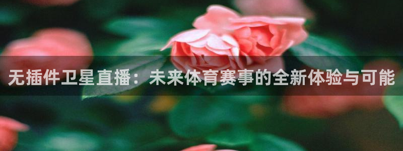 无插件卫星直播：未来体育赛事的全新体验与可能