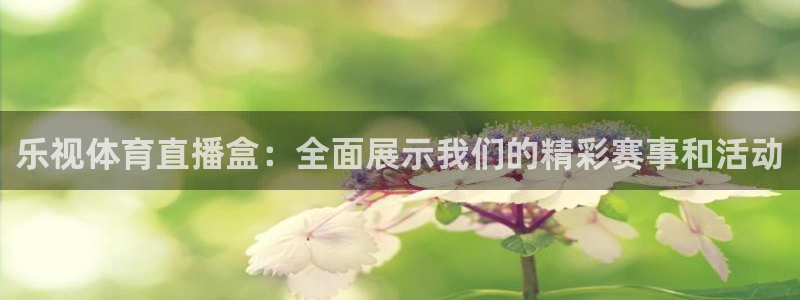 乐视体育直播盒：全面展示我们的精彩赛事和活动