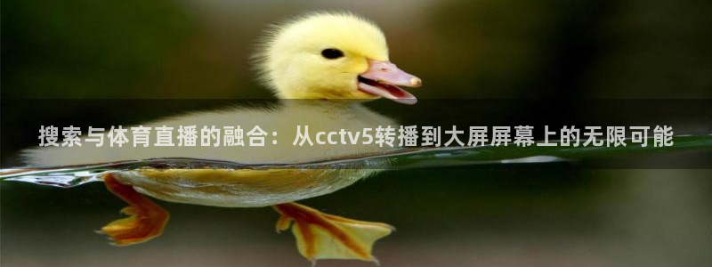 搜索与体育直播的融合：从cctv5转播到大屏屏幕上的无限可能
