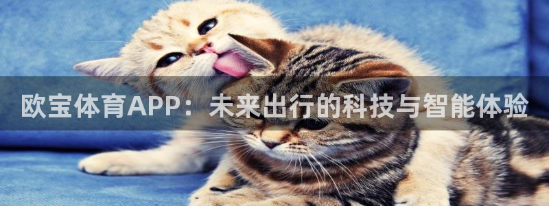 欧宝体育APP：未来出行的科技与智能体验