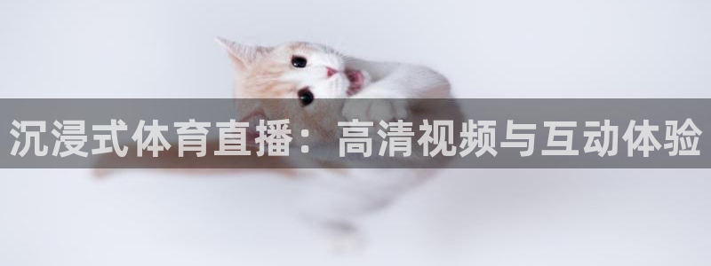 沉浸式体育直播：高清视频与互动体验