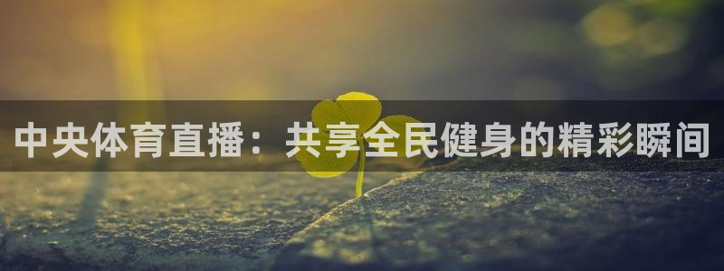 中央体育直播：共享全民健身的精彩瞬间