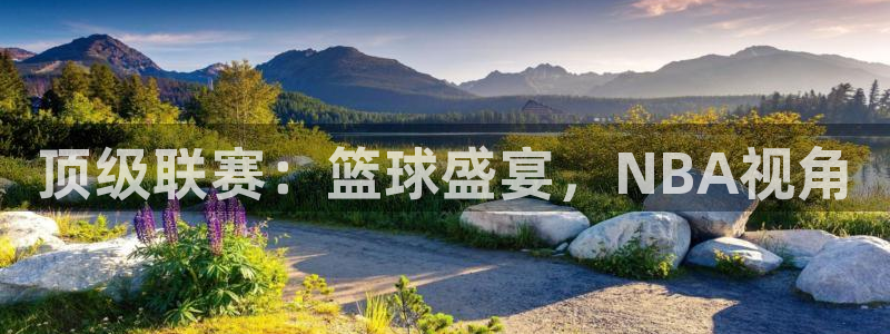 顶级联赛：篮球盛宴，NBA视角