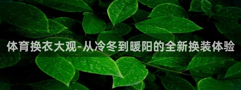 体育换衣大观-从冷冬到暖阳的全新换装体验