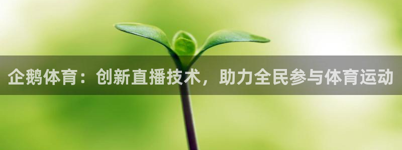 企鹅体育：创新直播技术，助力全民参与体育运动