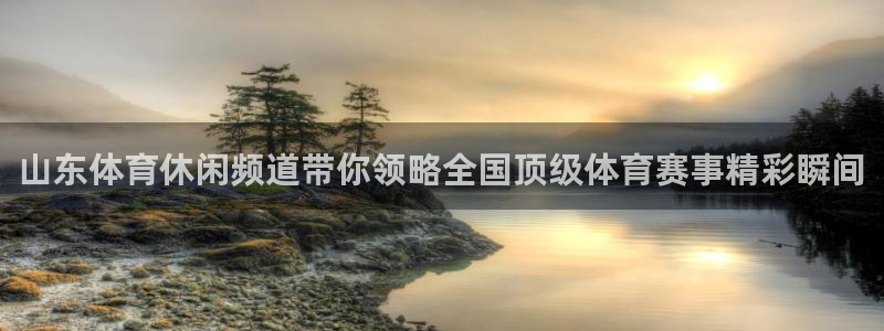 山东体育休闲频道带你领略全国顶级体育赛事精彩瞬间