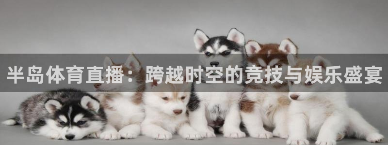 半岛体育直播：跨越时空的竞技与娱乐盛宴