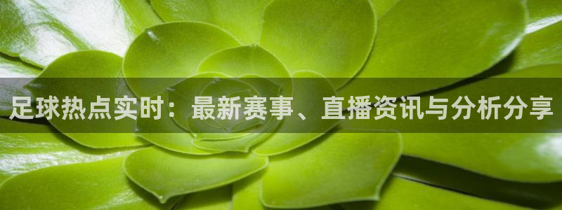 足球热点实时：最新赛事、直播资讯与分析分享