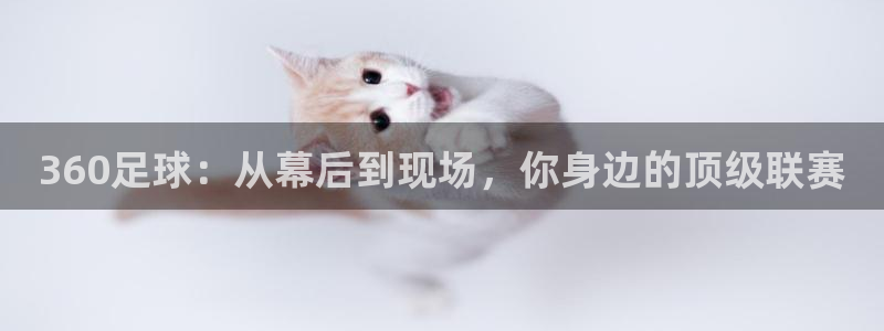 360足球：从幕后到现场，你身边的顶级联赛