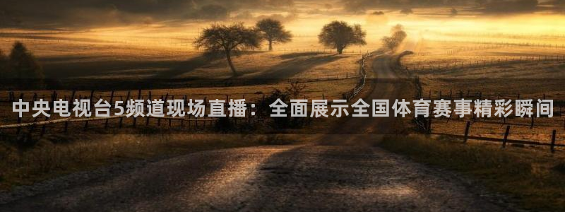 中央电视台5频道现场直播：全面展示全国体育赛事精彩瞬间