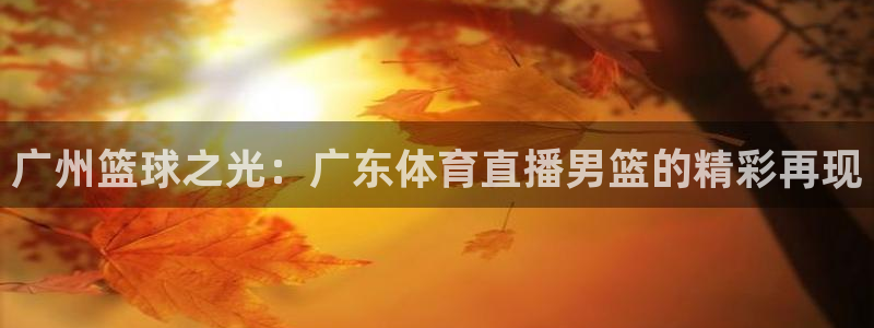 广州篮球之光：广东体育直播男篮的精彩再现