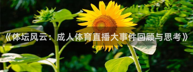 《体坛风云：成人体育直播大事件回顾与思考》