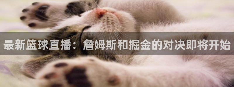 最新篮球直播：詹姆斯和掘金的对决即将开始