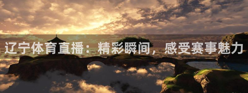 辽宁体育直播：精彩瞬间，感受赛事魅力