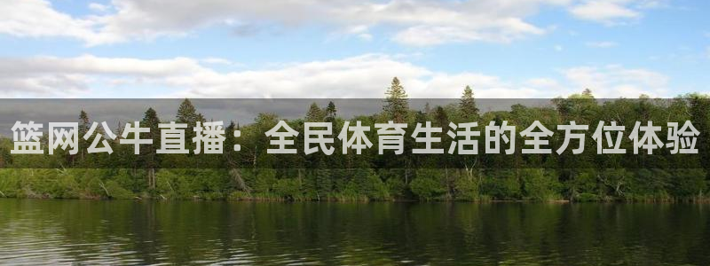 篮网公牛直播：全民体育生活的全方位体验