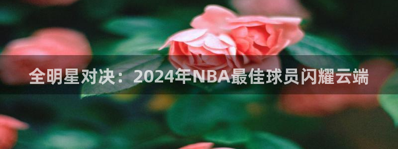 全明星对决：2024年NBA最佳球员闪耀云端